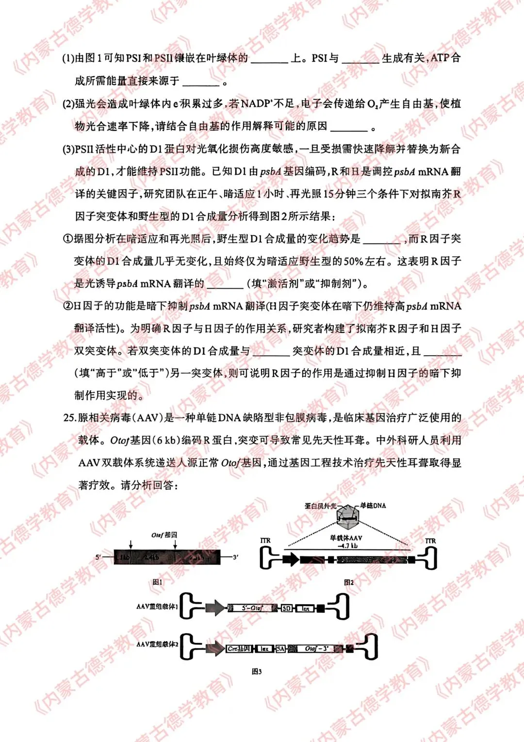 2026年呼市高三一模生物试卷及答案 第9张