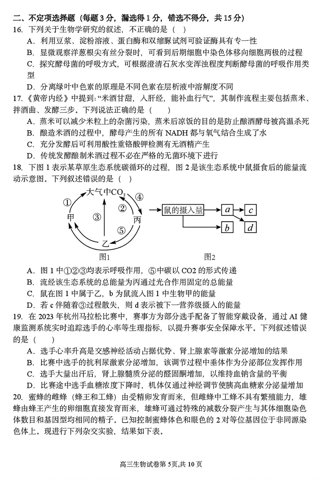 【试卷/高三下】2025-2026沈阳东北育才高三下第六次模拟生物(含答案)可下载 第5张