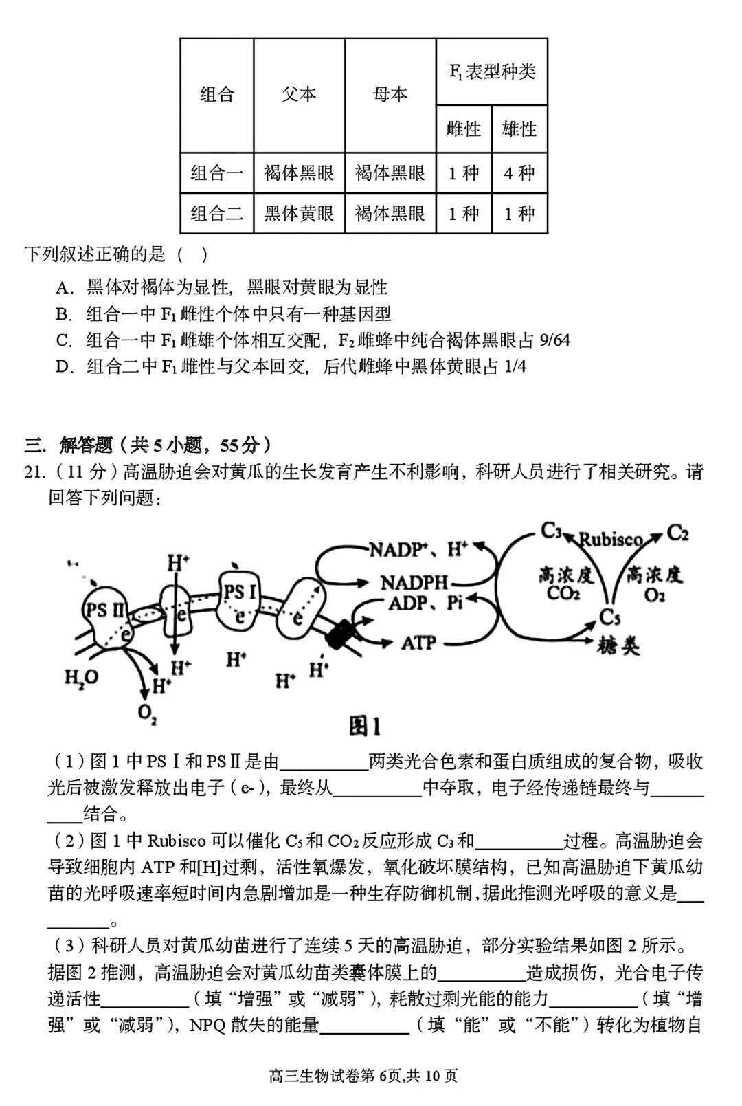 【试卷/高三下】2025-2026沈阳东北育才高三下第六次模拟生物(含答案)可下载 第6张