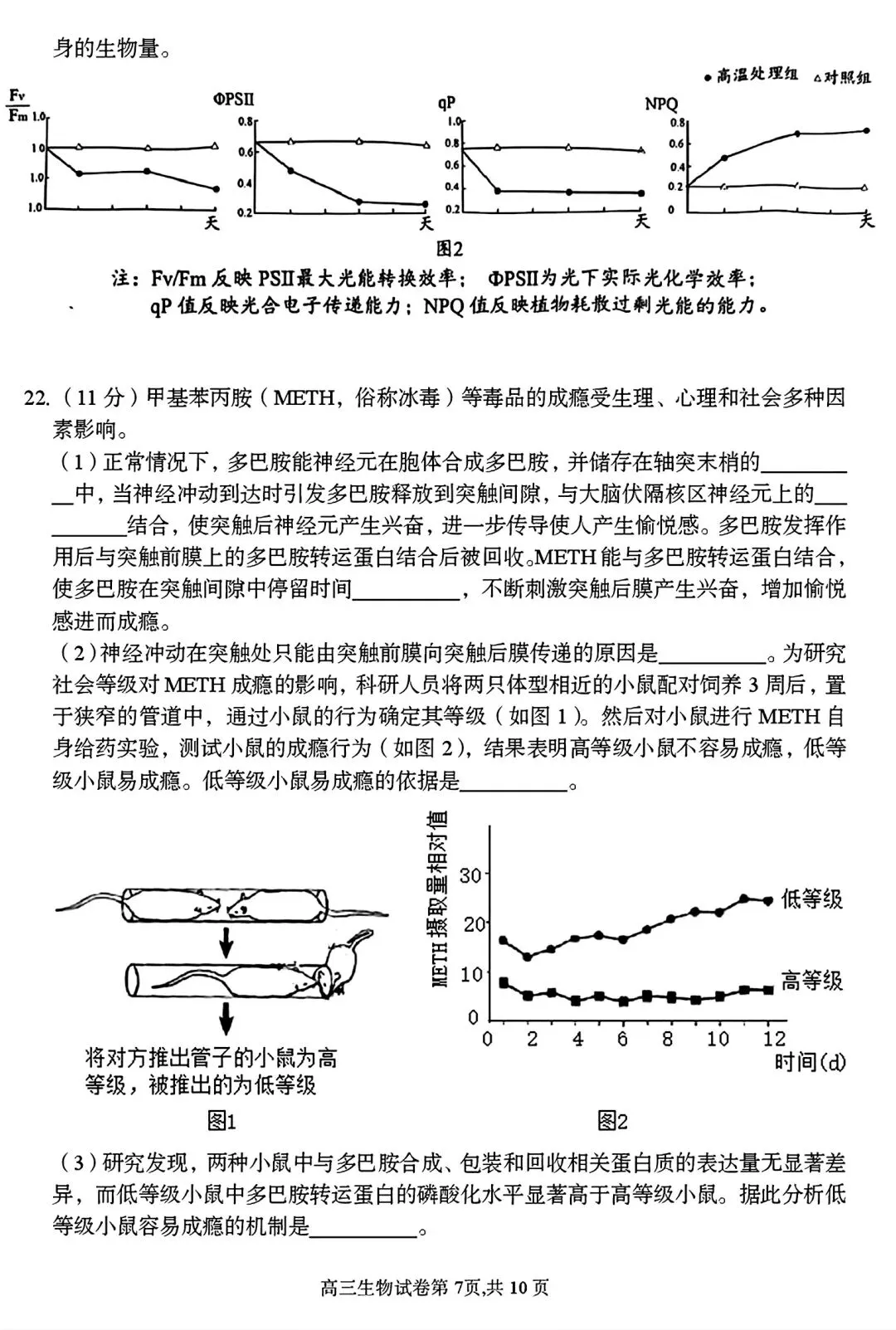 【试卷/高三下】2025-2026沈阳东北育才高三下第六次模拟生物(含答案)可下载 第7张