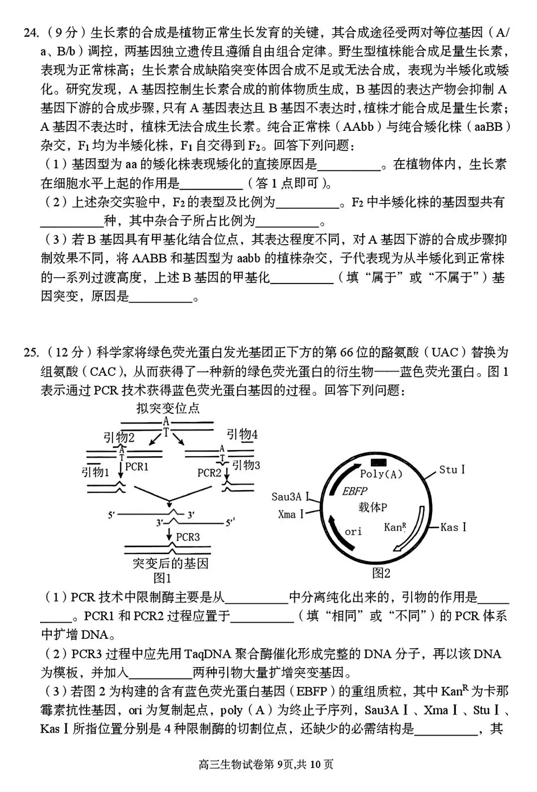 【试卷/高三下】2025-2026沈阳东北育才高三下第六次模拟生物(含答案)可下载 第9张