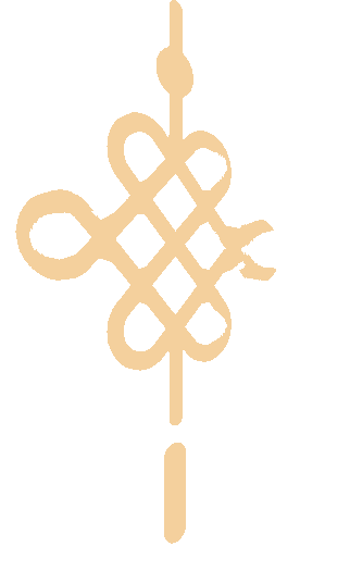 逐马扬鞭凌云志,青春逐梦赴中考 第31张