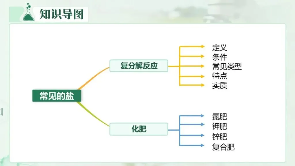 中考化学一轮复习专题八《盐和化肥》 第14张