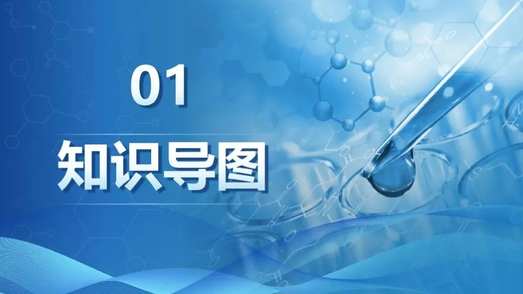 中考化学一轮复习专题十《元素》 第12张