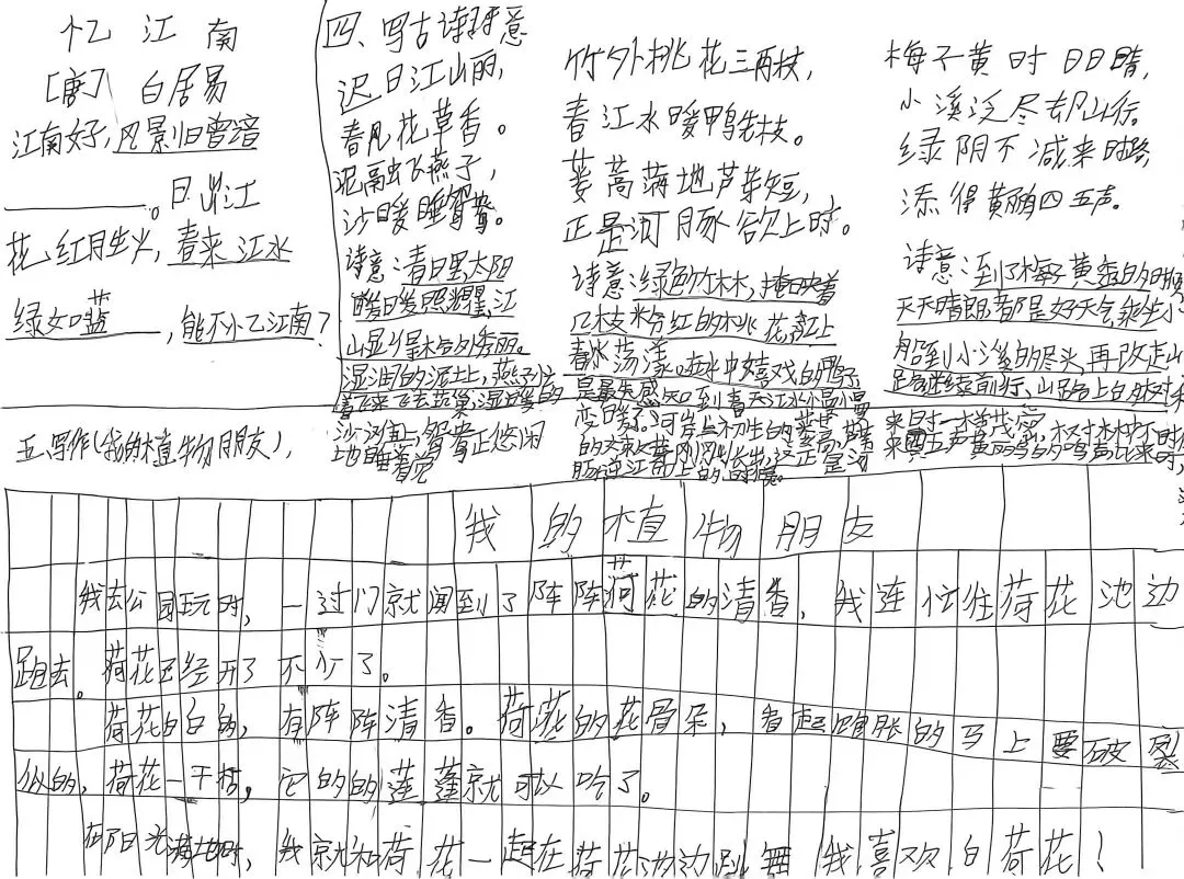 【百字班班同行营】三下第一单元出试卷 第4张