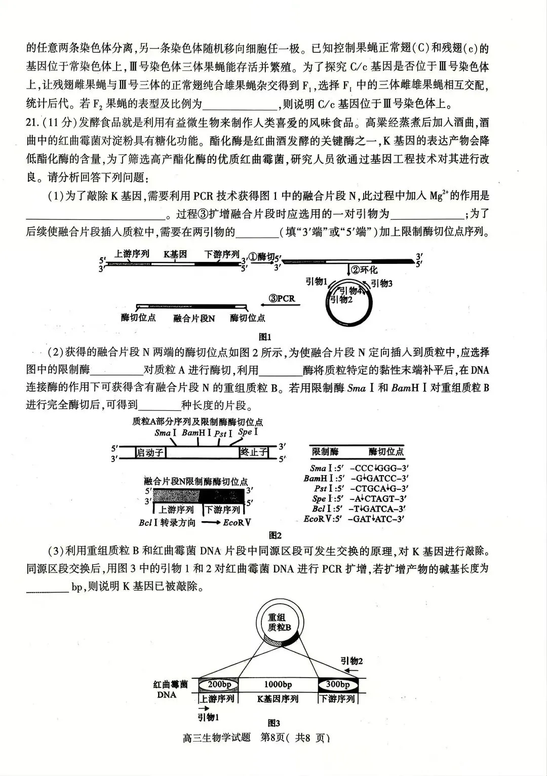 2026年河南省高三五市一模生物学试卷及答案解析 第8张