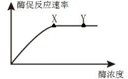陕西省西安中学2026届高三第三次模拟考试 生物学试题 第3张