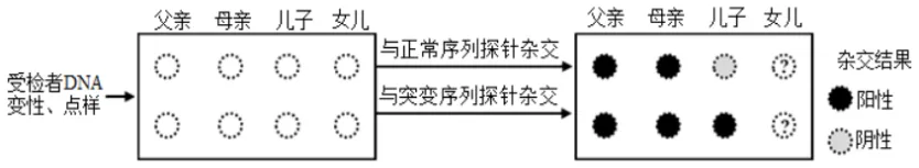 陕西省西安中学2026届高三第三次模拟考试 生物学试题 第7张