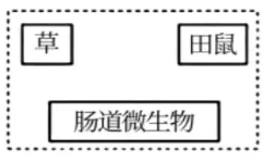 陕西省西安中学2026届高三第三次模拟考试 生物学试题 第14张