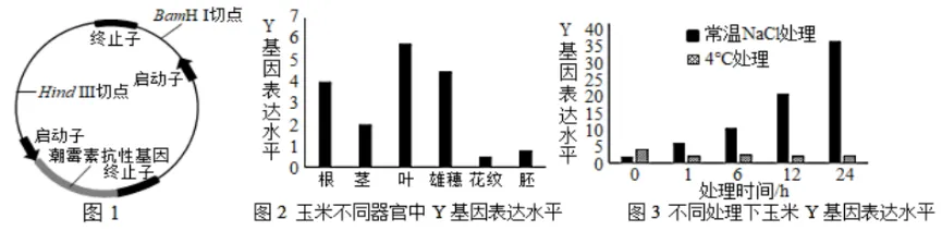 陕西省西安中学2026届高三第三次模拟考试 生物学试题 第16张