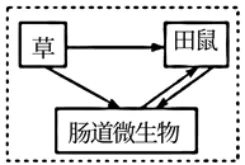陕西省西安中学2026届高三第三次模拟考试 生物学试题 第17张