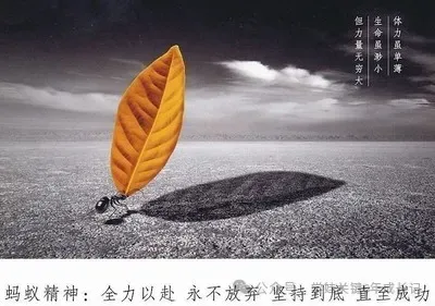 【中考冲刺】中考未至,好生不可骄,差生不言弃,节奏保持好!!! 第12张