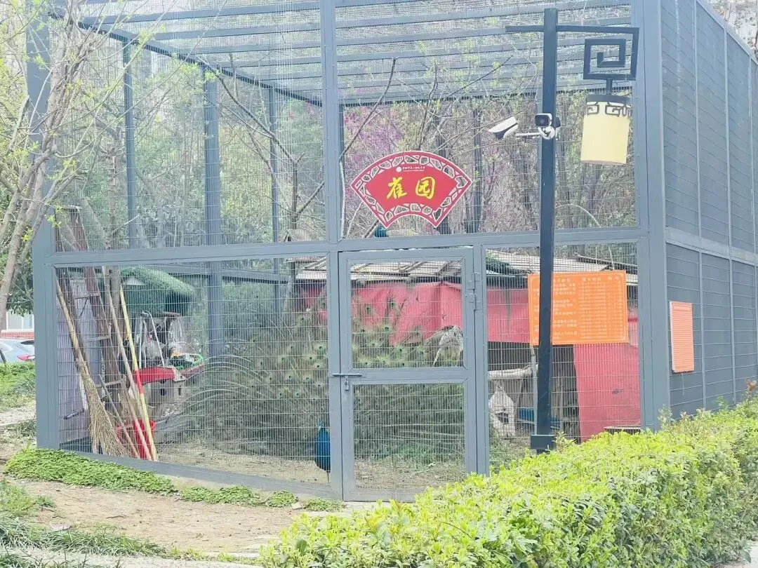 离中考还有83天丨做好自己,问心无愧 第2张 离中考还有83天丨做好自己,问心无愧 第2张