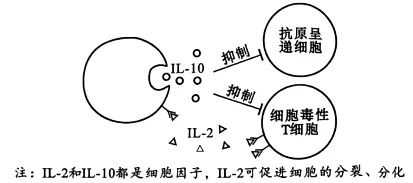 试题精选‖安徽省安庆市2026年高三模拟考试(二模)生物学试题 第4张
