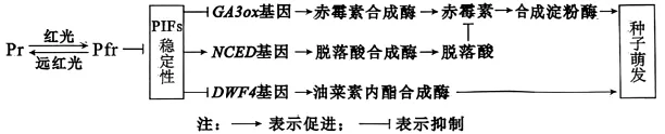 试题精选‖安徽省安庆市2026年高三模拟考试(二模)生物学试题 第5张