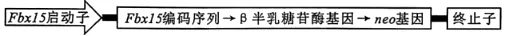 试题精选‖安徽省安庆市2026年高三模拟考试(二模)生物学试题 第11张