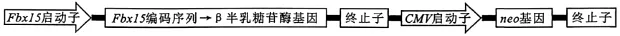 试题精选‖安徽省安庆市2026年高三模拟考试(二模)生物学试题 第12张