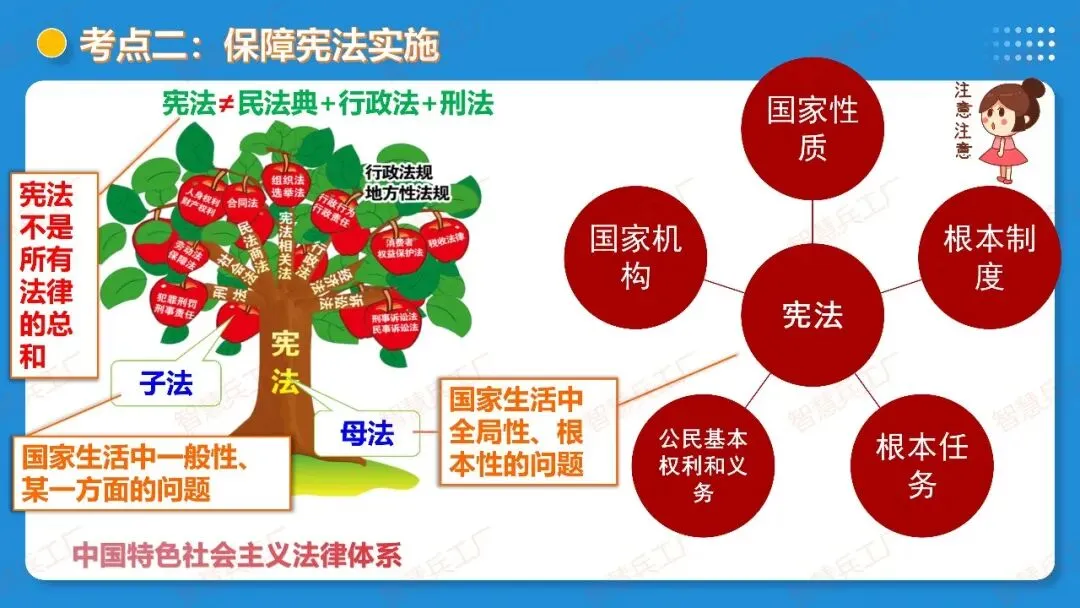 2026年中考 道德与法治一轮复习高效培优系列---第11课时 坚持宪法至上(复习课件+讲义) 第23张