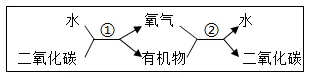 2026年中考生物模拟卷5份 第3张 2026年中考生物模拟卷5份 第3张