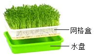 2026年中考生物模拟卷5份 第10张 2026年中考生物模拟卷5份 第10张