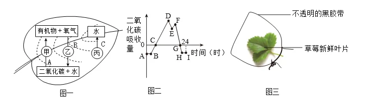 2026年中考生物模拟卷5份 第14张 2026年中考生物模拟卷5份 第14张