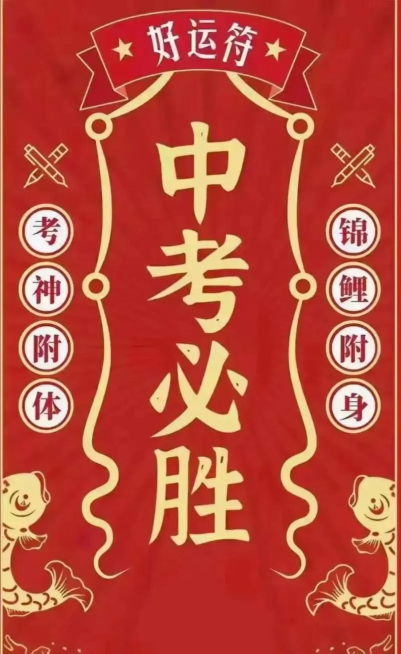 读懂中考分流:重点高中、普高、职高,每一条路都藏着你的未来 第2张 读懂中考分流:重点高中、普高、职高,每一条路都藏着你的未来 第2张