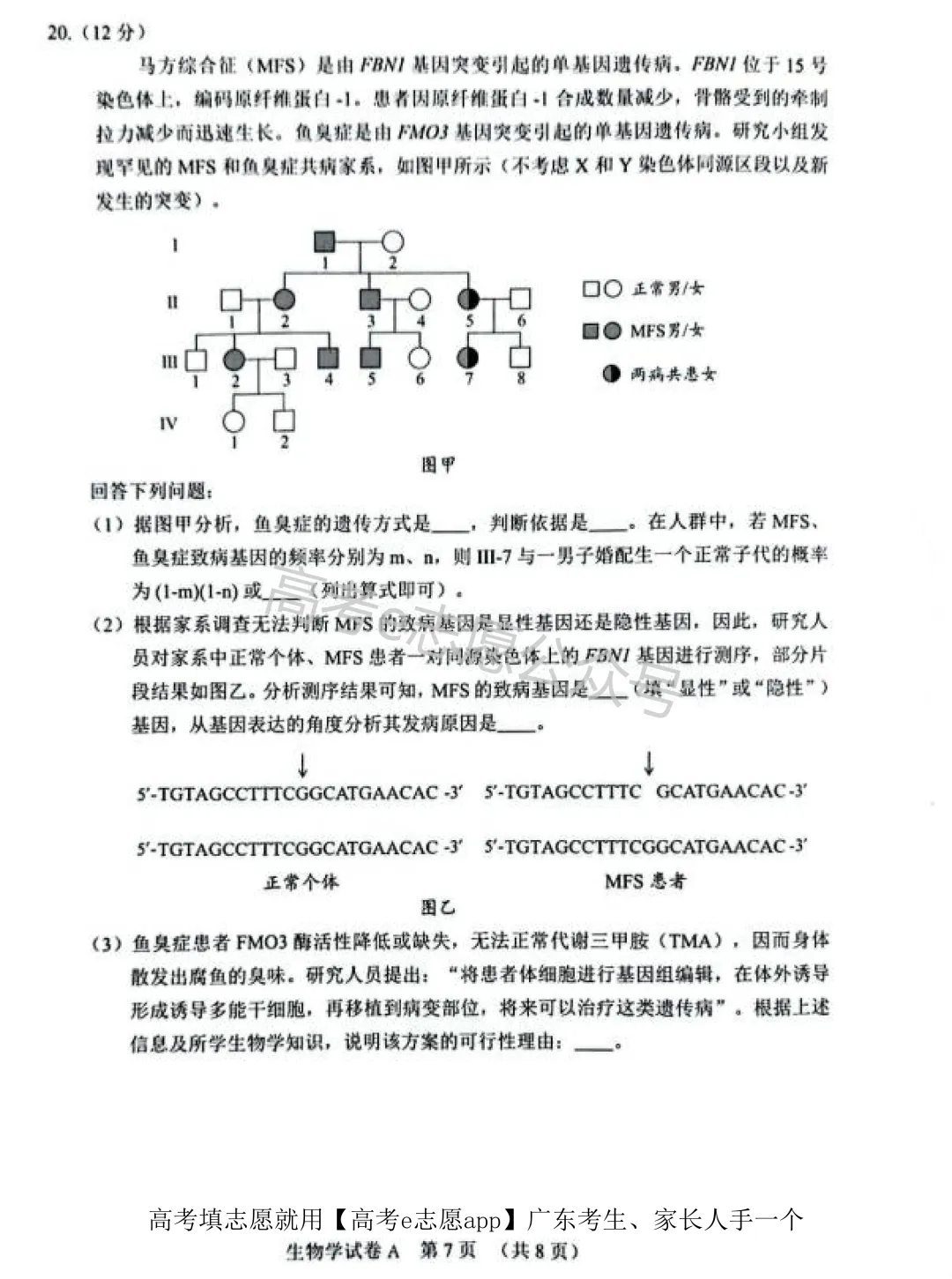 全齐!2026广东一模、广州一模各科试卷+答案汇总 第196张 全齐!2026广东一模、广州一模各科试卷+答案汇总 第196张