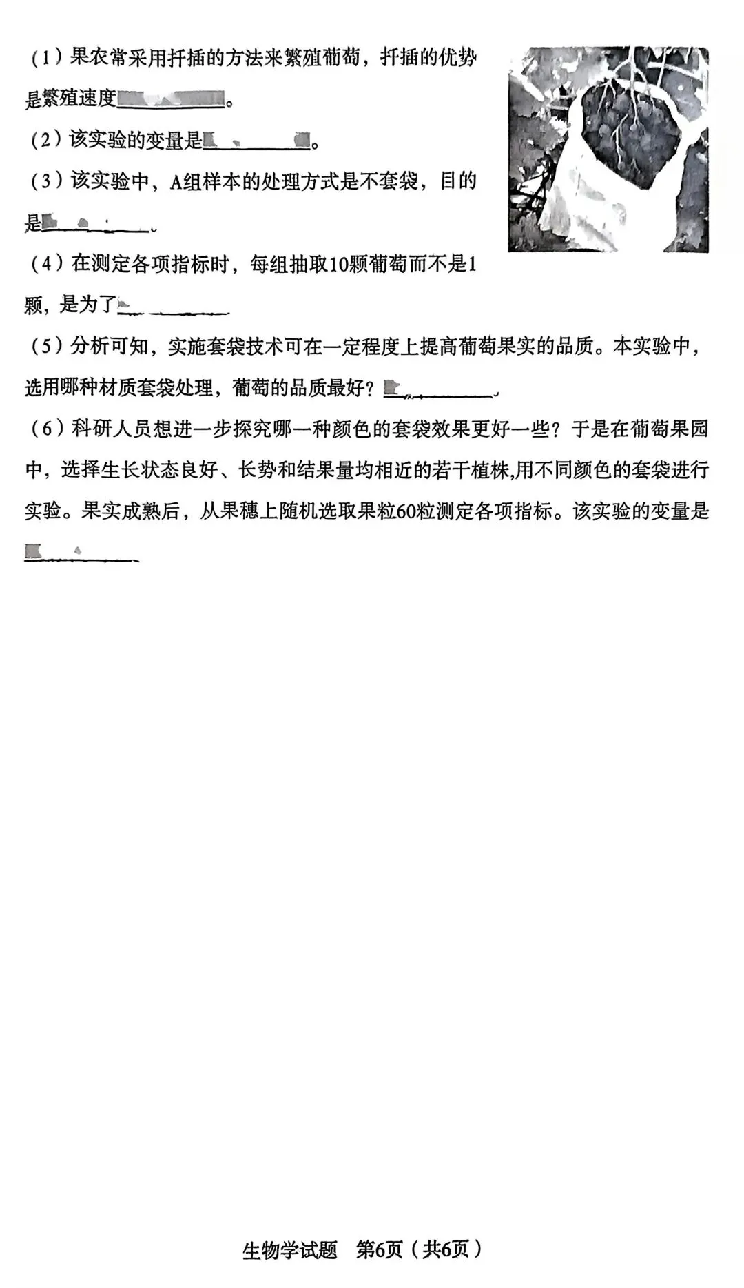 【试卷/初一下】2024-2025沈阳沈河区七下期末生物(含答案)可下载 第6张
