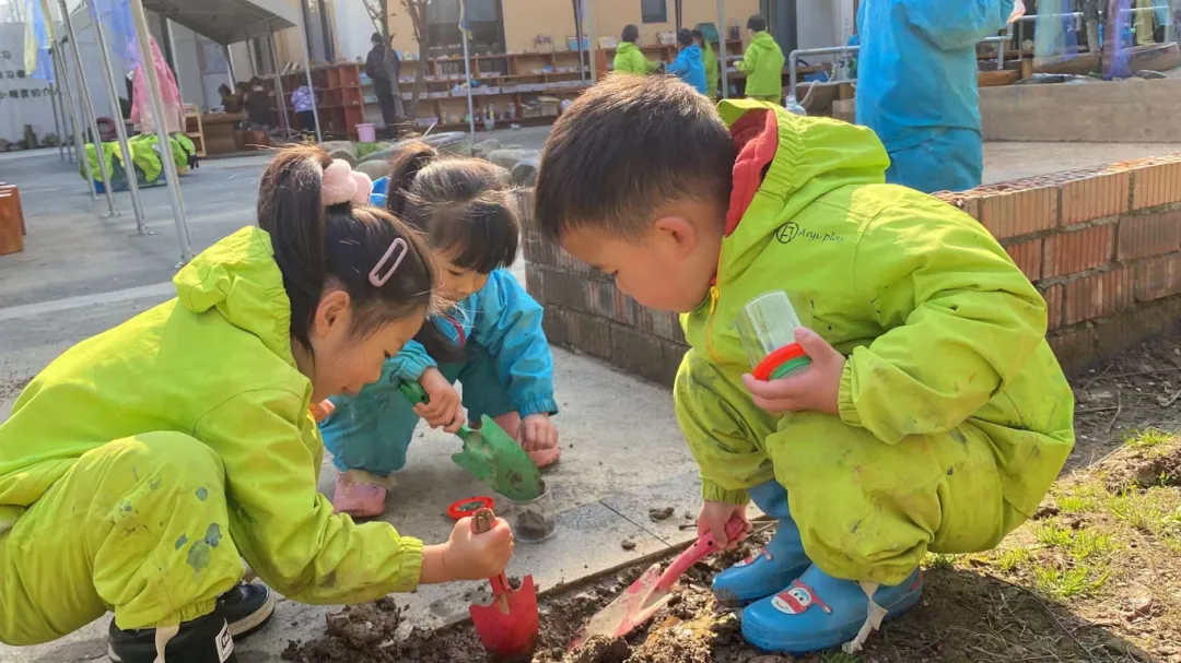 “真题真议”话题讨论集锦7:在幼儿自主探究与尊重动植物生命之间,教师该如何把握平衡? 第15张