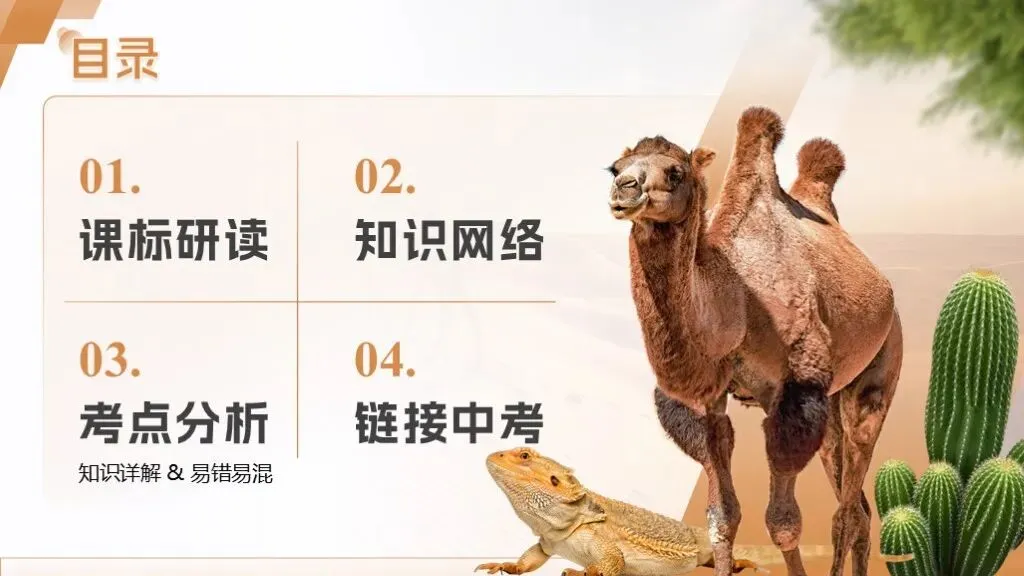 中考生物一轮复习专题3.1《生物与环境》 第11张 中考生物一轮复习专题3.1《生物与环境》 第11张