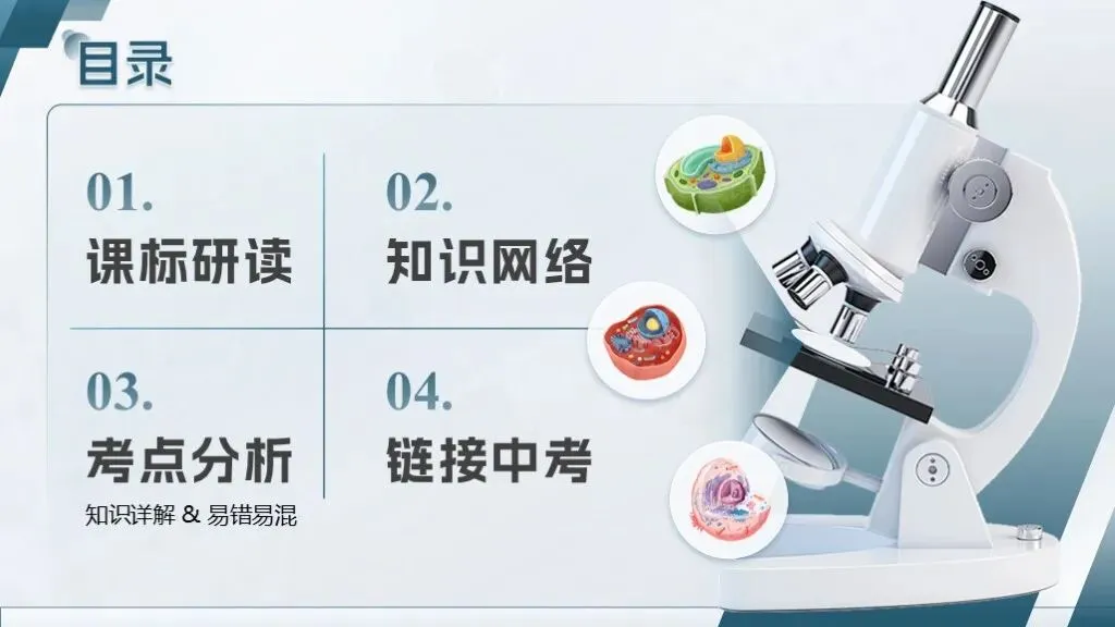 中考生物一轮复习专题一《生物体的结构层次》 第11张