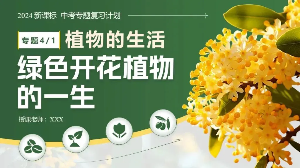 中考生物一轮复习专题4.1《植物的生活-绿色开花植物的一生》 第4张