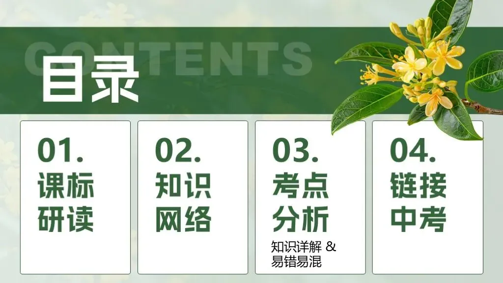 中考生物一轮复习专题4.1《植物的生活-绿色开花植物的一生》 第11张