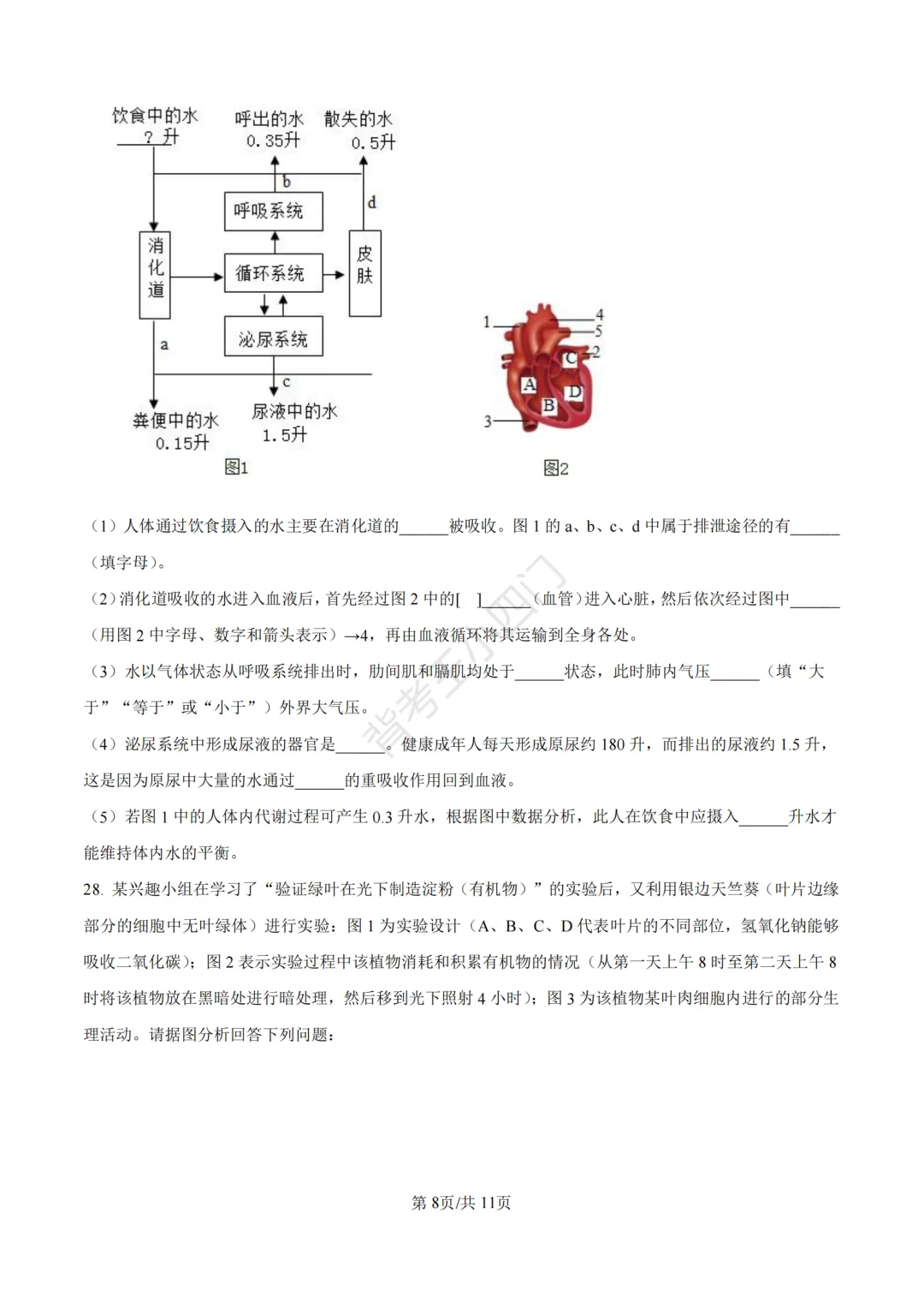 山东省济南市2025年中考小四门真题及答案解析(生物/历史/道法) 第9张 山东省济南市2025年中考小四门真题及答案解析(生物/历史/道法) 第9张