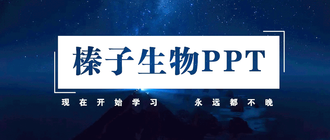 内蒙古鄂尔多斯市2026届第一次模拟考试生物试卷 第1张