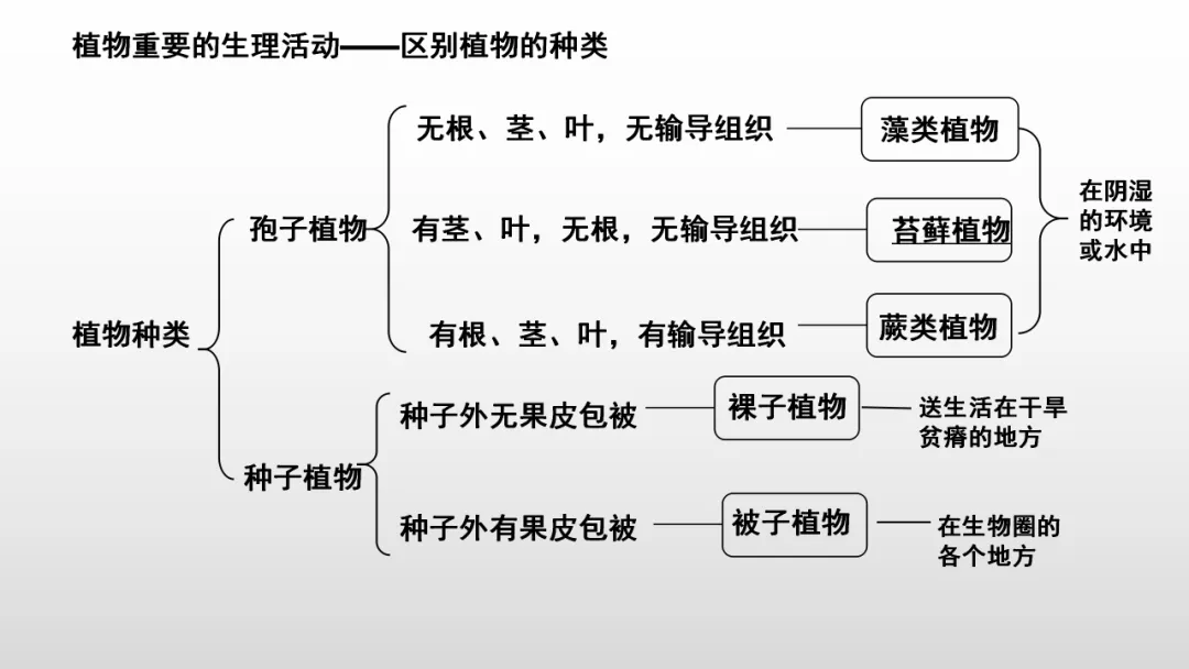 冲刺深圳初二生地会考A+,中考才能算“稳赢” 第27张