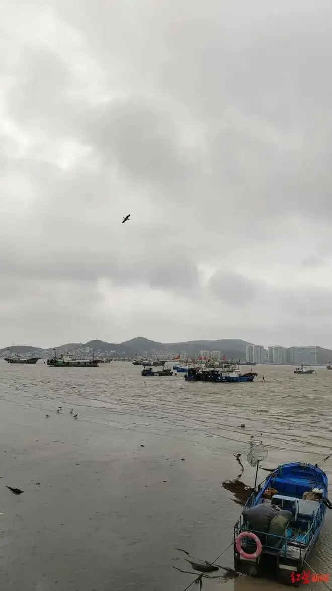 浙江海岛被指打响＂取消中考第一枪＂ 有学生心态松懈 第3张