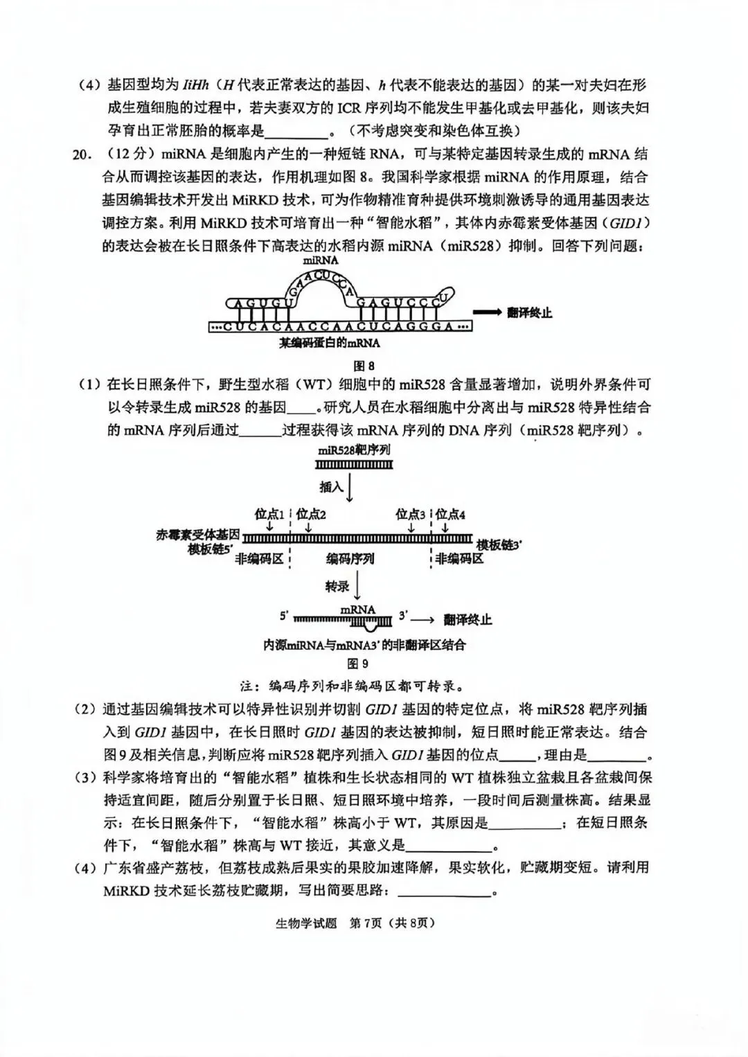 NO:1144M 2026届江门市高考模拟考试生物学试题和答案(2026江门一模) 第7张 NO:1144M 2026届江门市高考模拟考试生物学试题和答案(2026江门一模) 第7张