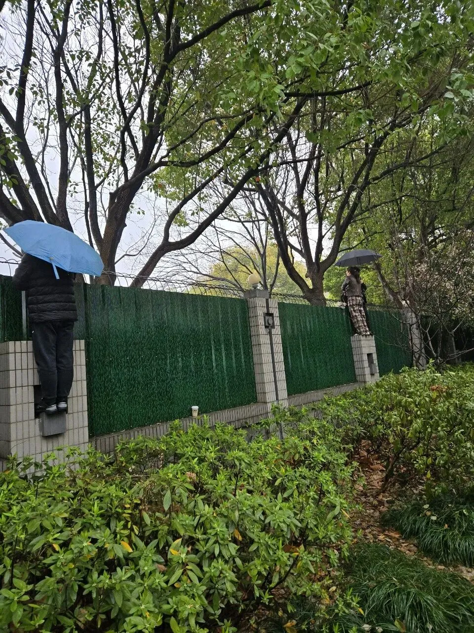 体育中考结束,圆满完成任务 第1张