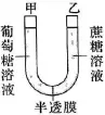 2026年河北省中学生生物学竞赛考试试卷 第3张 2026年河北省中学生生物学竞赛考试试卷 第3张