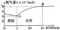 2026年河北省中学生生物学竞赛考试试卷 第5张 2026年河北省中学生生物学竞赛考试试卷 第5张