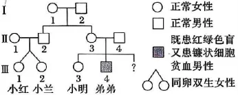 2026年河北省中学生生物学竞赛考试试卷 第14张 2026年河北省中学生生物学竞赛考试试卷 第14张