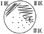 2026年河北省中学生生物学竞赛考试试卷 第26张 2026年河北省中学生生物学竞赛考试试卷 第26张