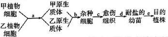 2026年河北省中学生生物学竞赛考试试卷 第27张 2026年河北省中学生生物学竞赛考试试卷 第27张