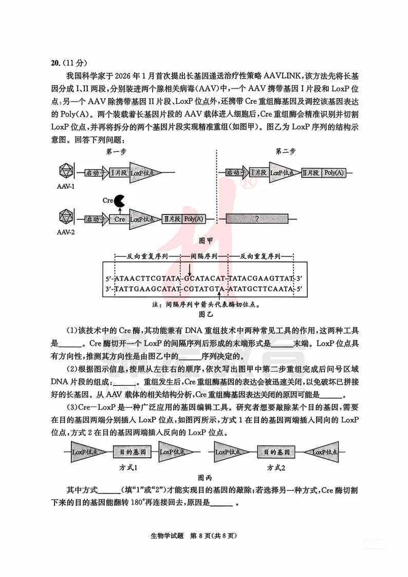 2026成都二诊全科试卷&答案,一键查收! 第9张