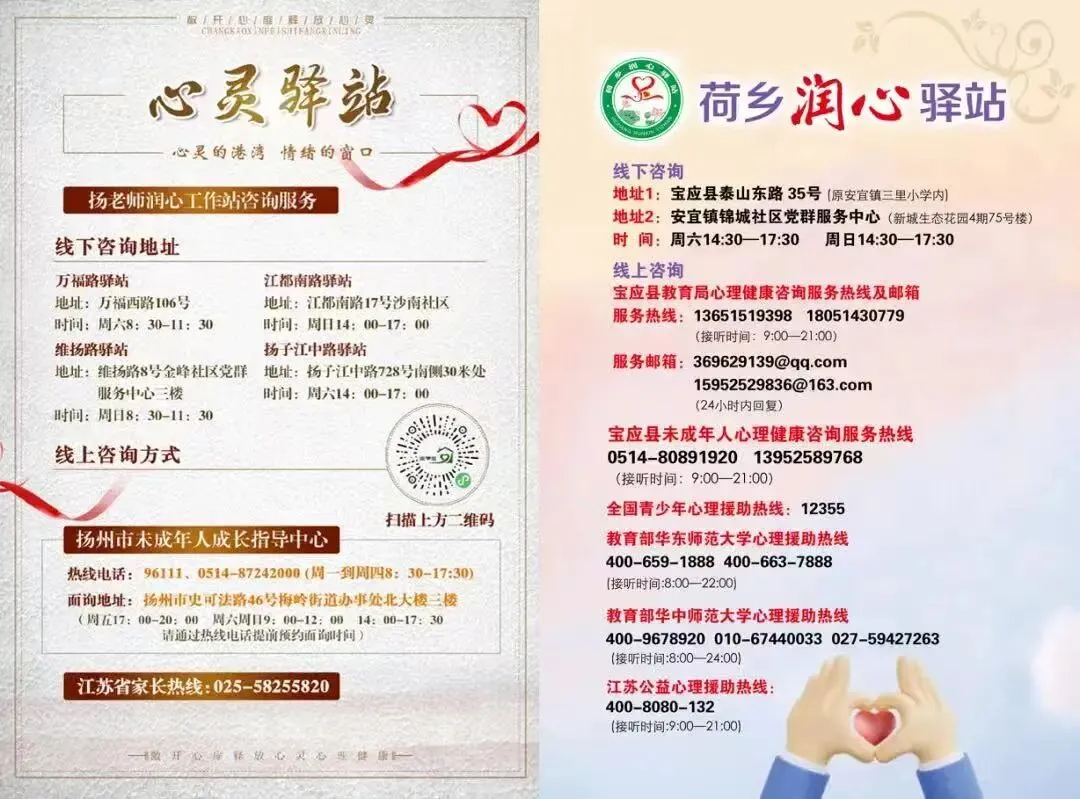 聚焦中考复习 提质增效——宝应县九年级数学教学研讨活动圆满举行 第20张