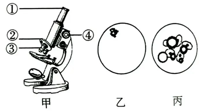 必刷!这份生物中考模拟卷,覆盖90%核心考点 第8张