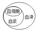 必刷!这份生物中考模拟卷,覆盖90%核心考点 第13张