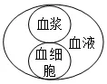 必刷!这份生物中考模拟卷,覆盖90%核心考点 第14张