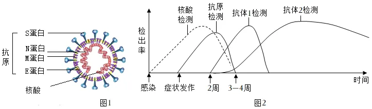 必刷!这份生物中考模拟卷,覆盖90%核心考点 第18张